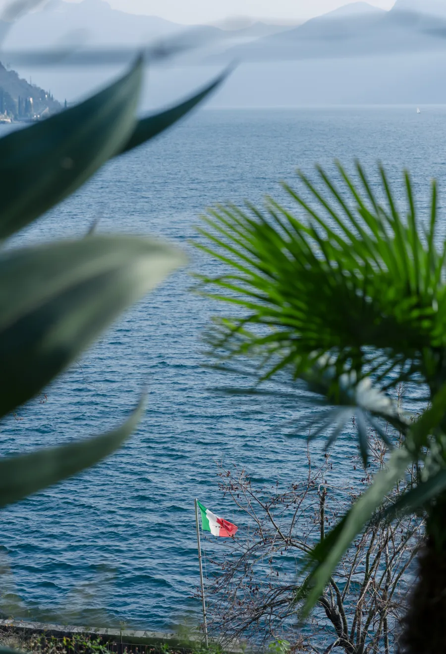 Il lago di Como fra le palme