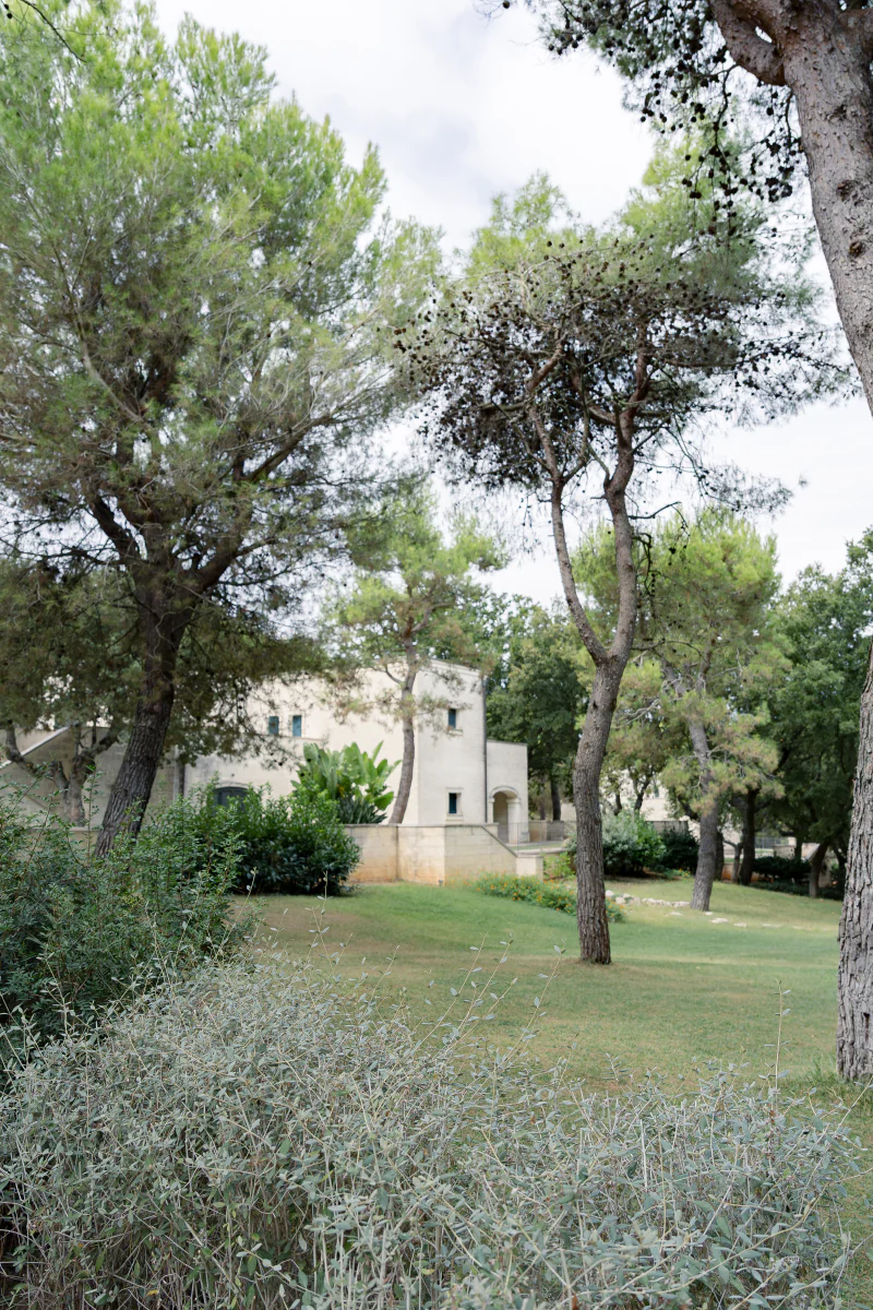 Pine trees and a lawn at Tenuta Monacelle, with the estate in the distance