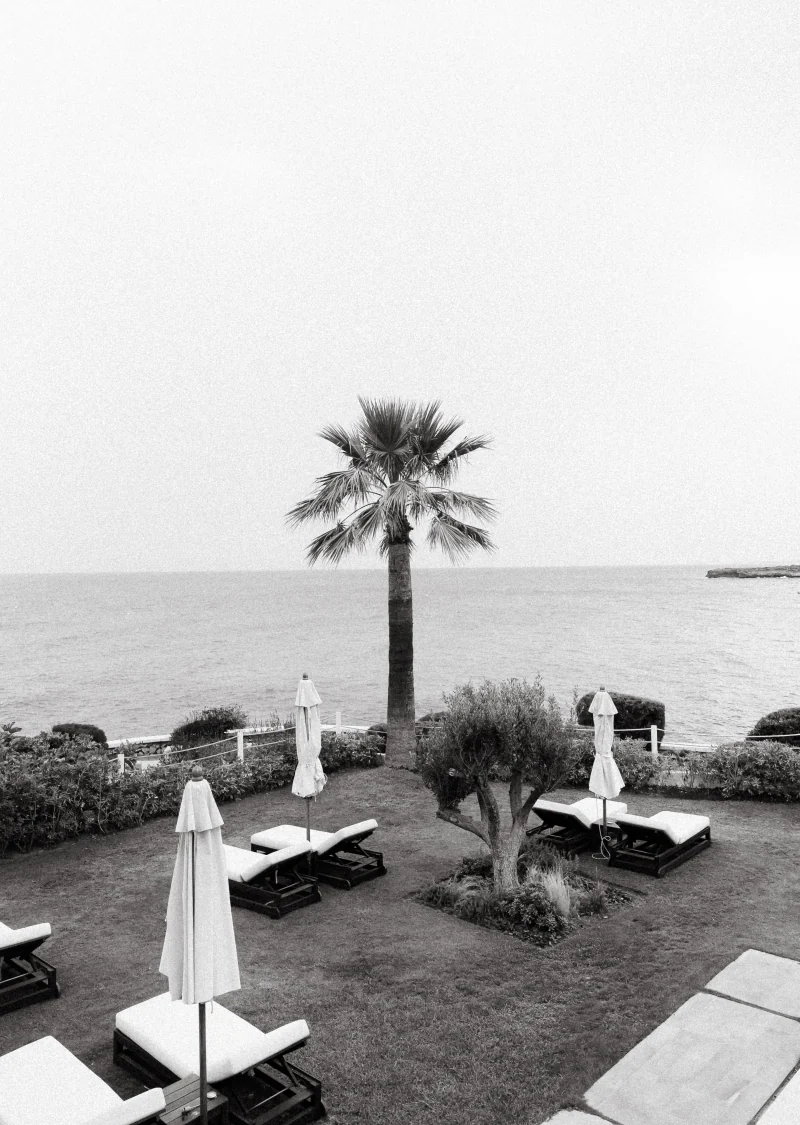 Black-and-white view of a palm tree and sun loungers on a seaside terrace